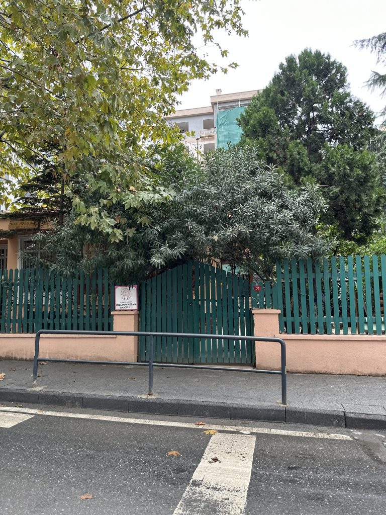 MOMO dışarıdan görünüş yeni hali